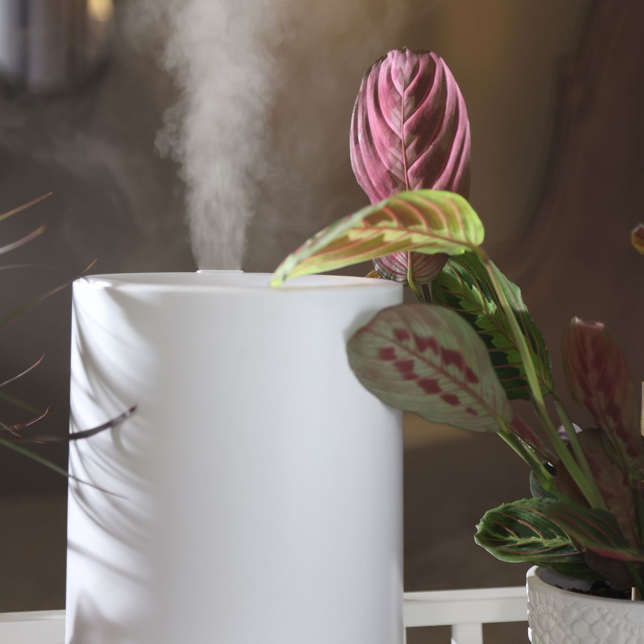 a humidifier is sitting on a table next to a potted plant .