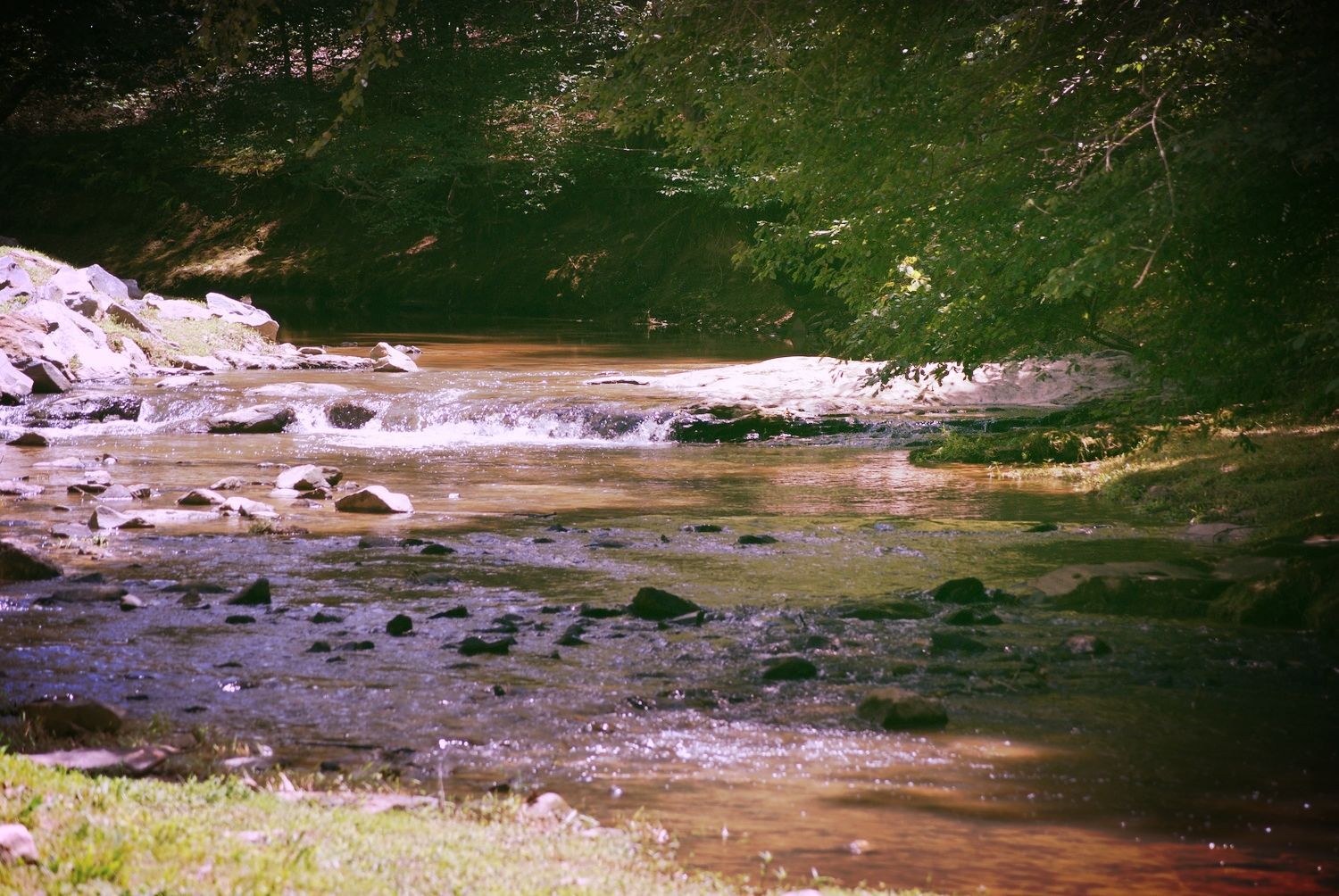 Nottely Creek in Meeks Park