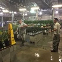 Two men spraying plants in a flooded greenhouse. One holds a hose; the other stands nearby. Wet floor and yellow caution sign.