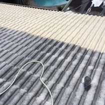 Partially painted roof; gray shingles fading to beige. White hose and paint can on the surface.