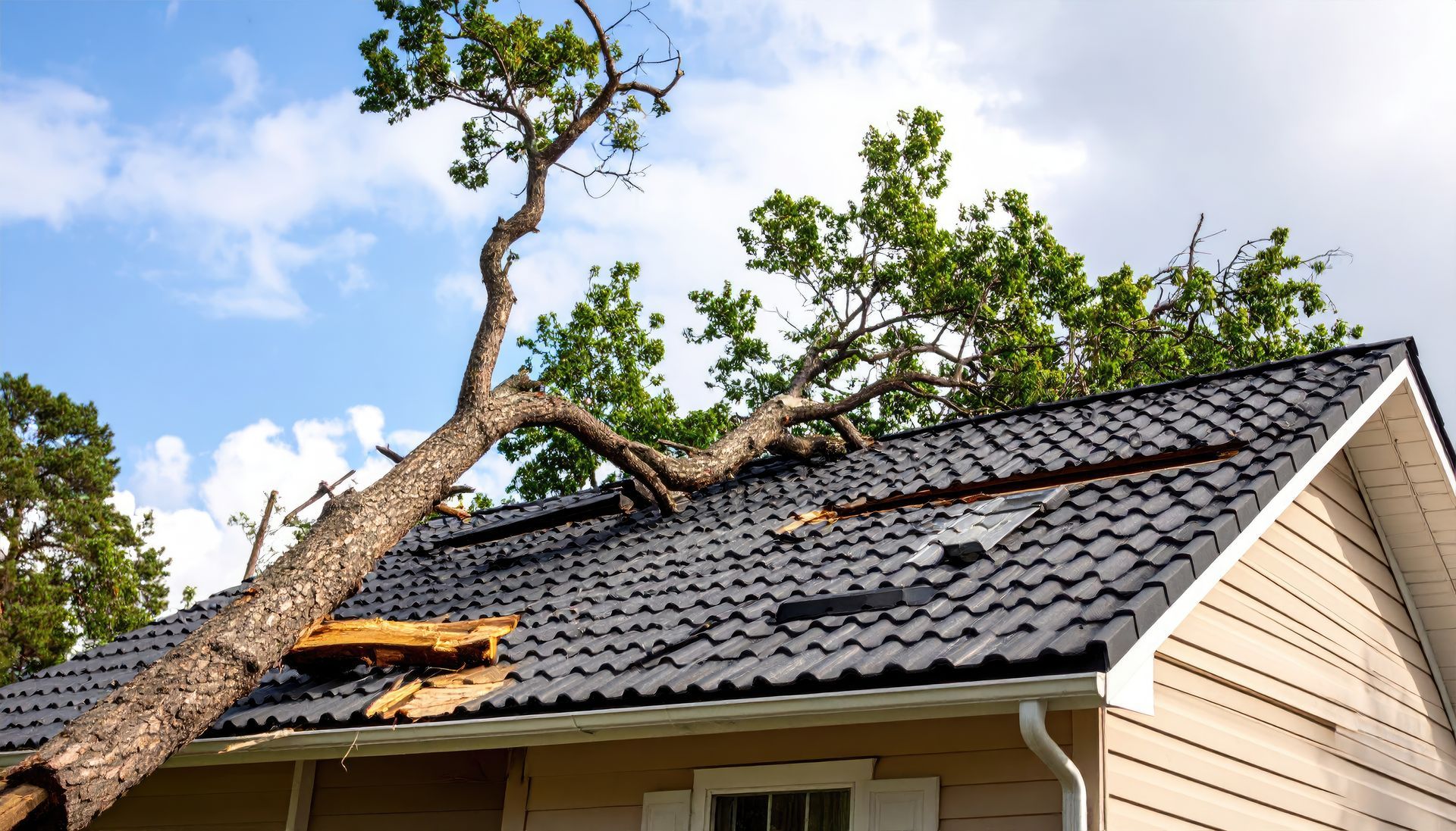 Fallen tree on house after storm requiring immediate emergency roofing repairs.