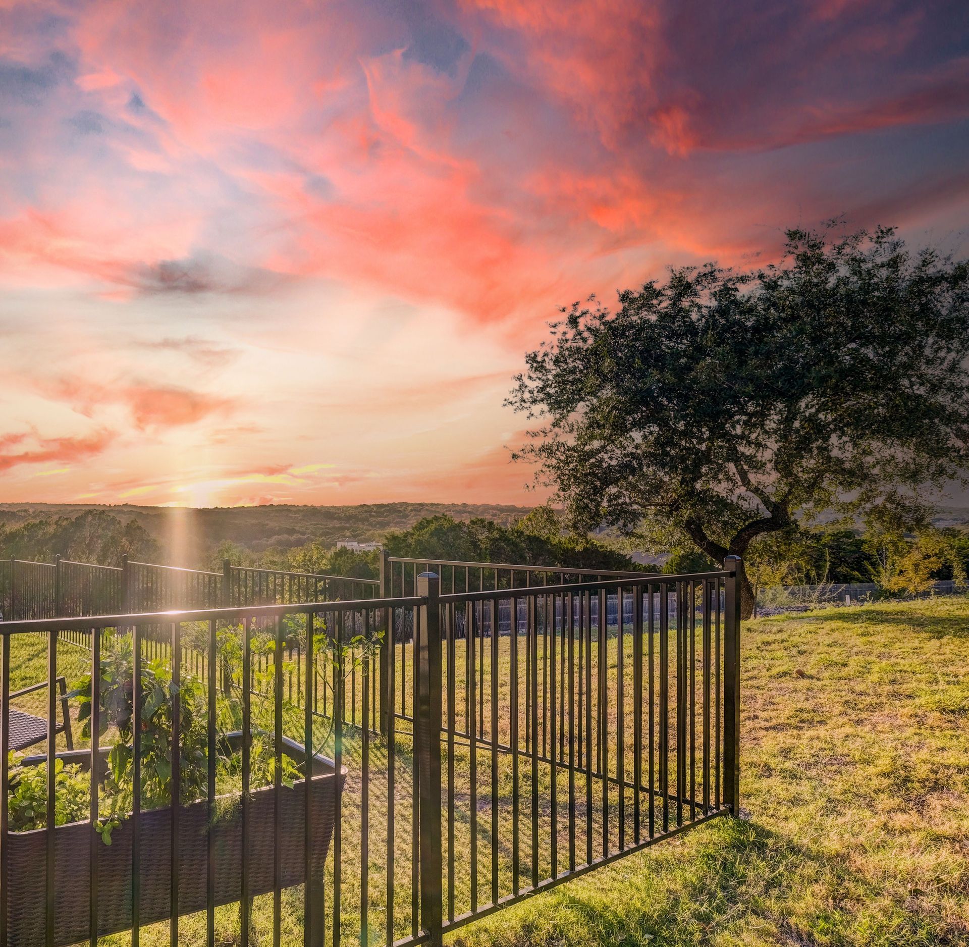 Sunset over a fenced yard with a tree. Orange and pink sky, sun setting over a landscape.