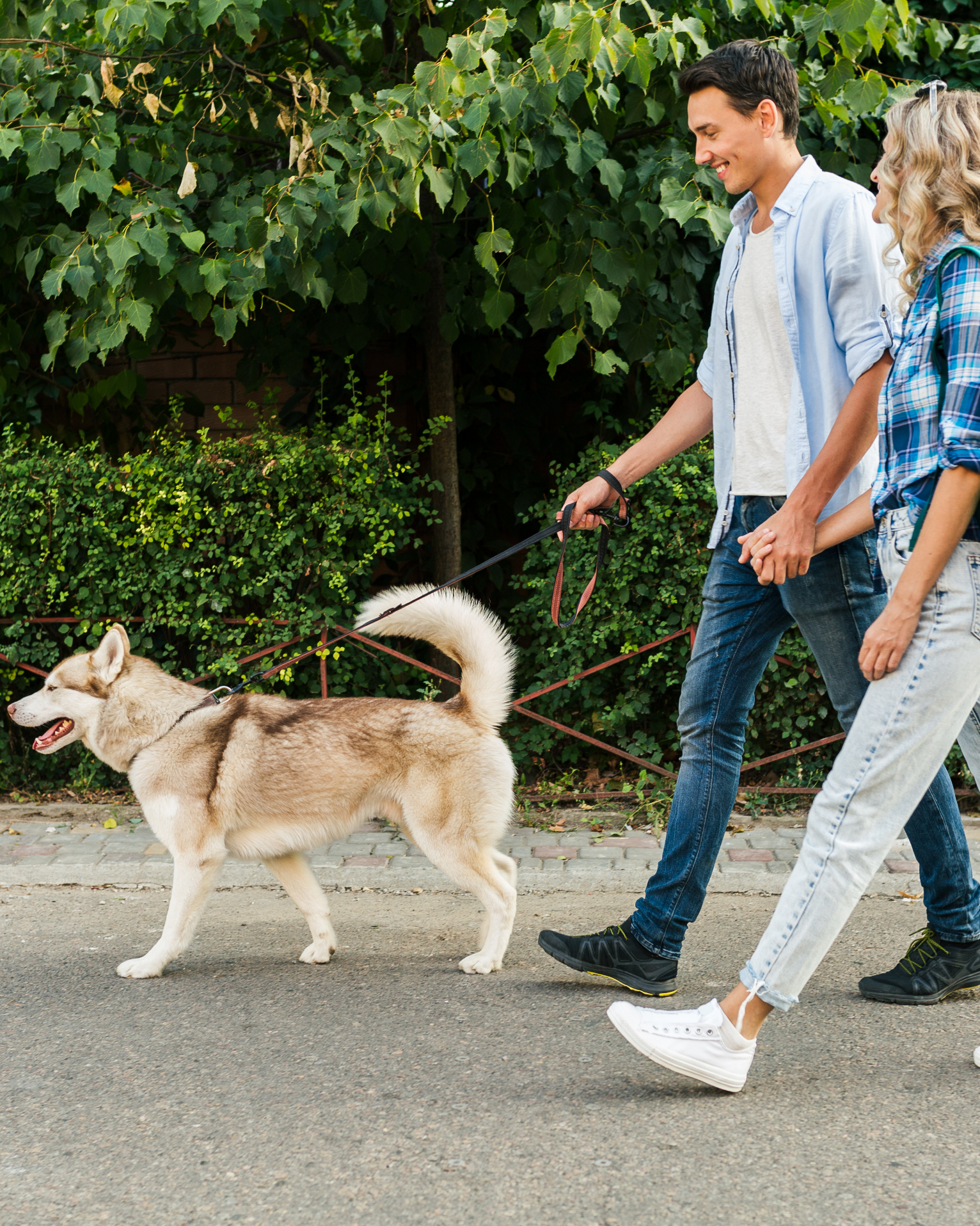 Man walks dog on leash, holding hands with person, along a street.