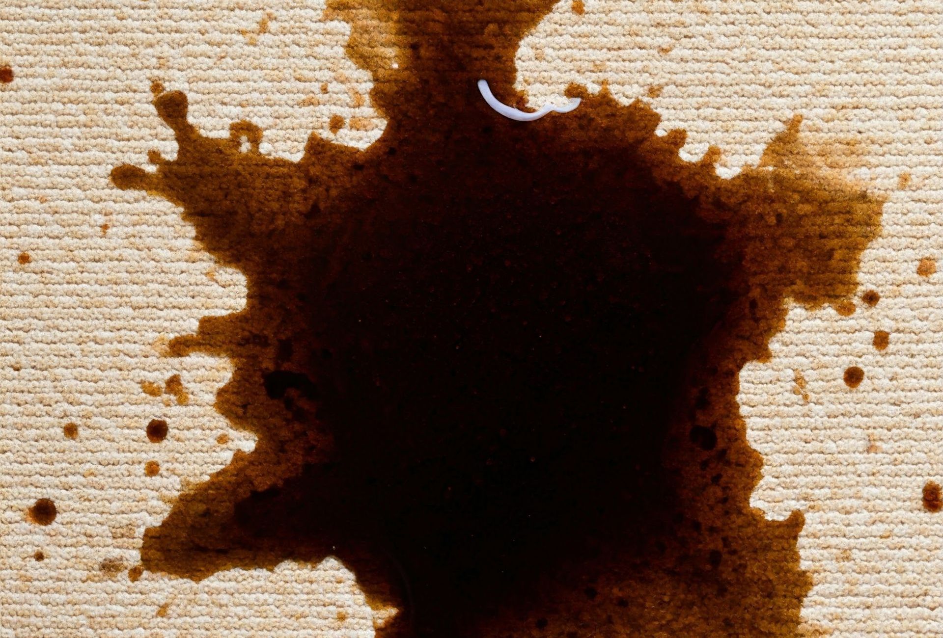 Expert stain and spot removal carpet cleaning service for tough stains like wine, pet accidents, and mud in Redmond, Oregon