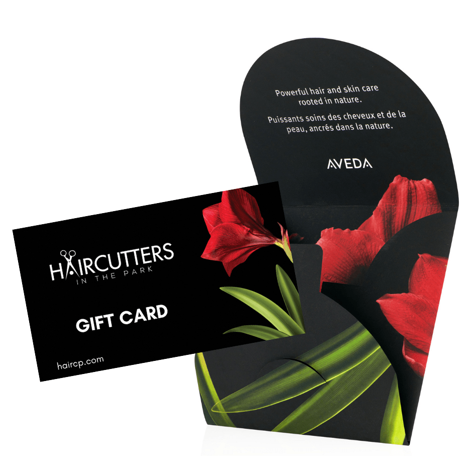 Dylan, Master Stylist