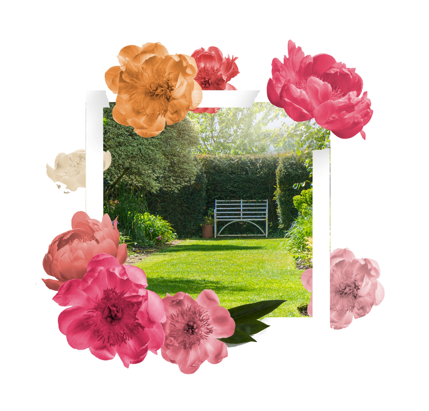 Un'immagine di un giardino con fiori intorno