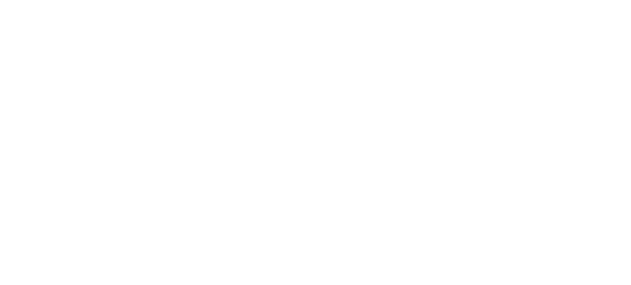 Google Premier Partner logo