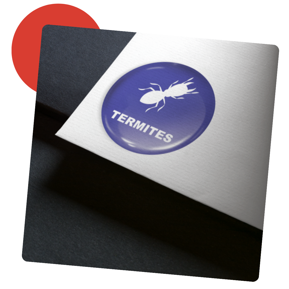 Autocollant d'avertissement anti-termites bleu sur papier blanc, avec un cercle rouge sur fond noir.