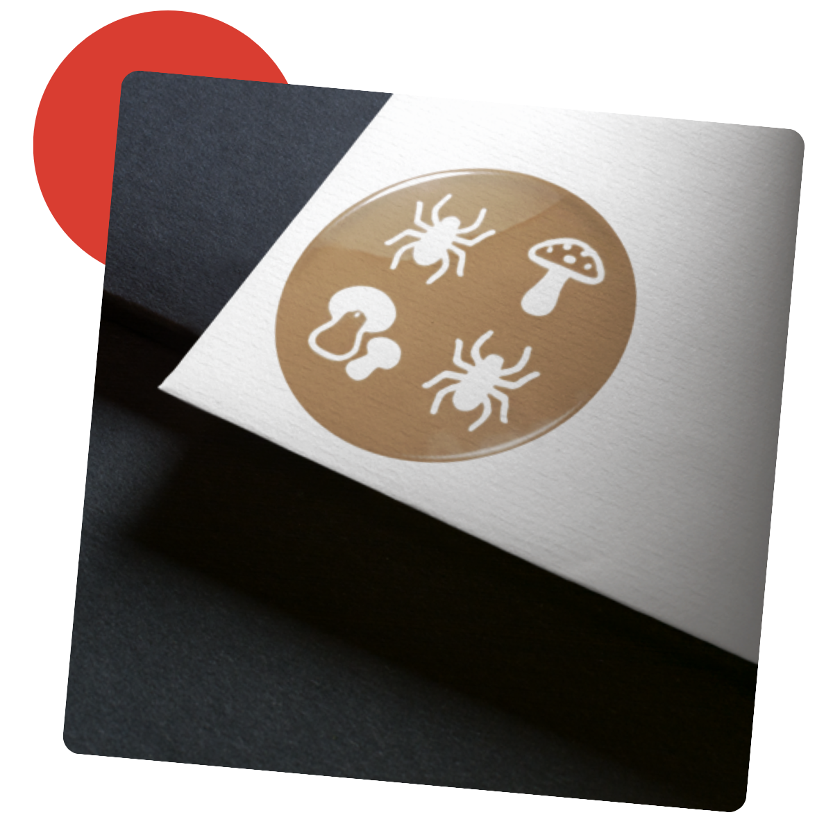 Autocollant ovale orné d'araignées et de champignons sur fond blanc, lui-même collé sur un fond noir. Un cercle rouge se trouve en haut à gauche.