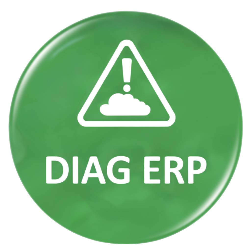 Bouton vert avec icône d'avertissement et texte « DIAG ERP ».