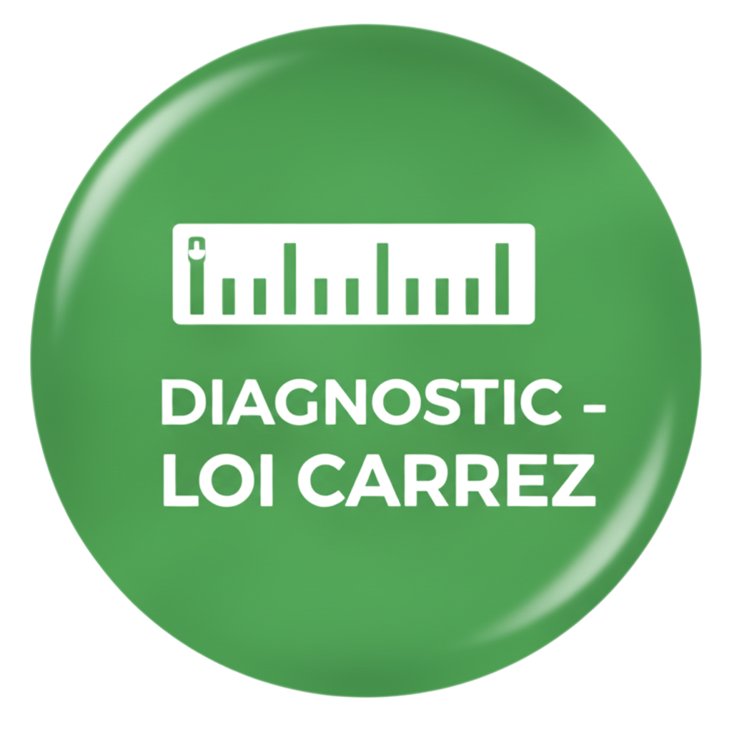 Bouton vert avec une icône de règle et le texte : « Diagnostic - Loi Carrez ».