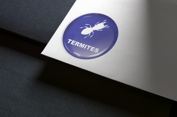Autocollant bleu d'avertissement contre les termites sur papier blanc.