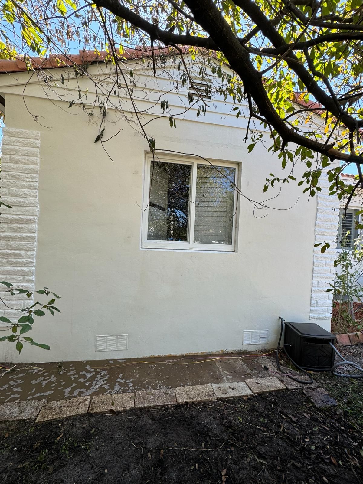 White stucco house exterior with a window, tree branches, and a brick pathway.
