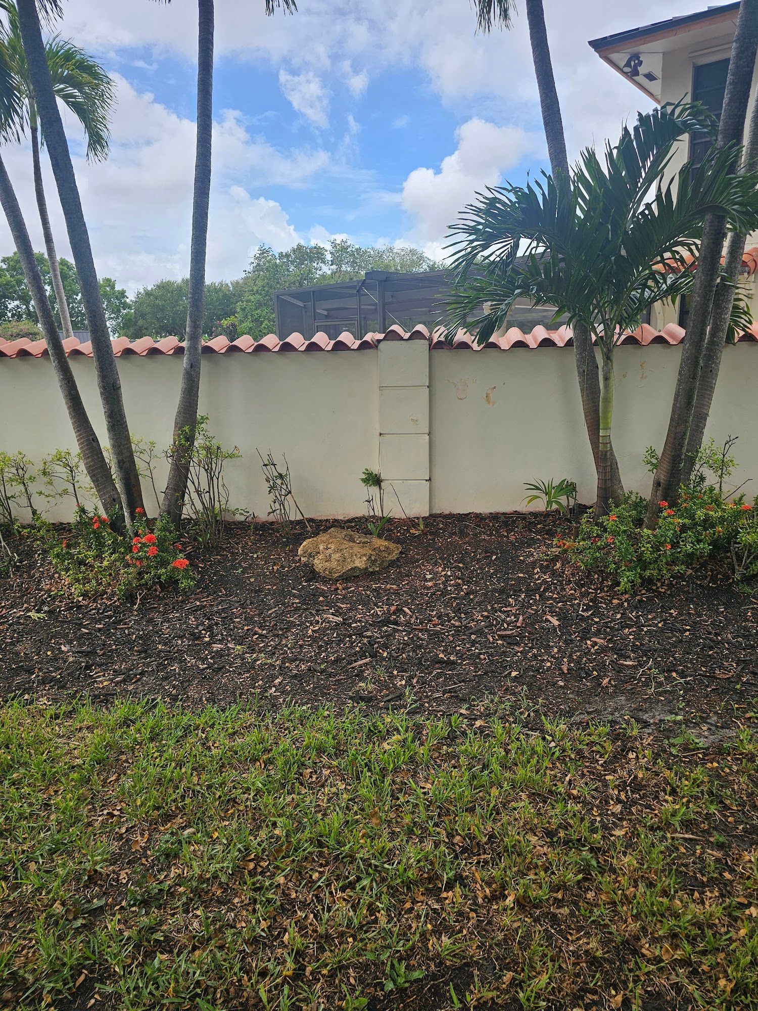 Wall topped with red tiles, palm trees, brown mulch and green grass in front.