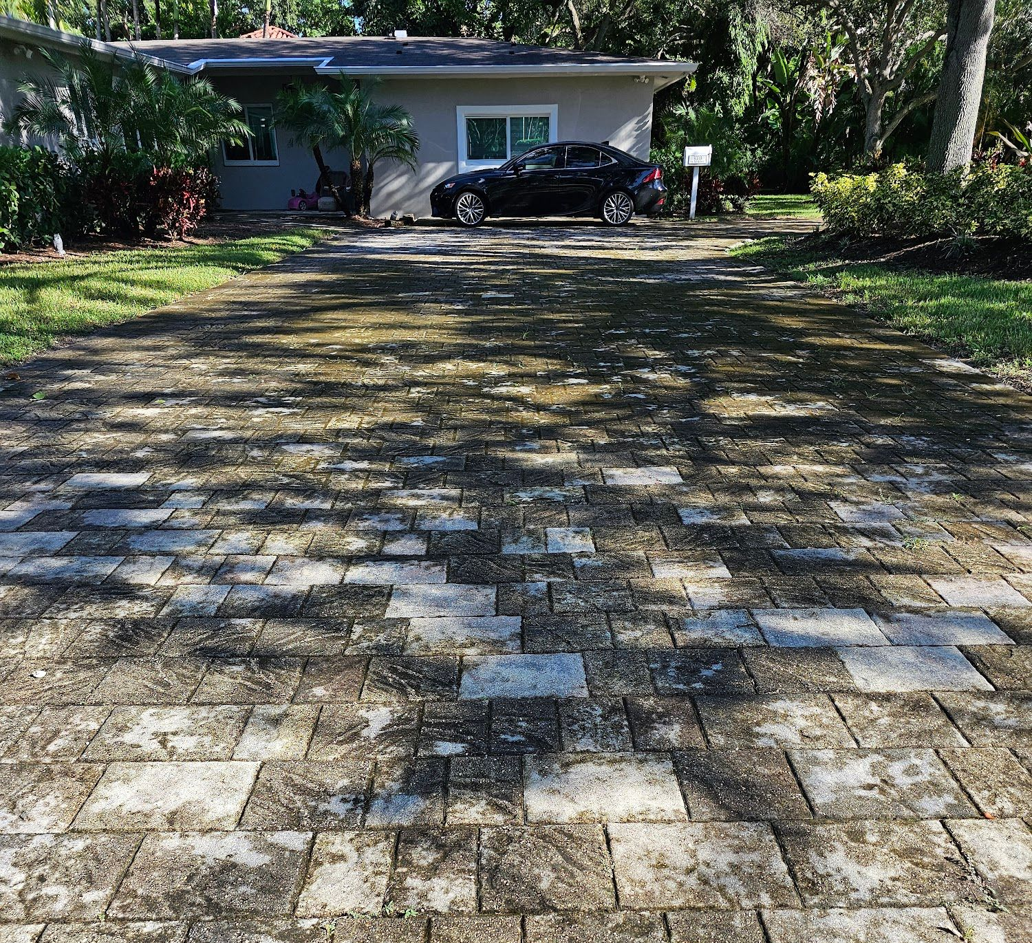 Brick driveway leading to a house with a black car parked in front. Green grass surrounds the driveway.