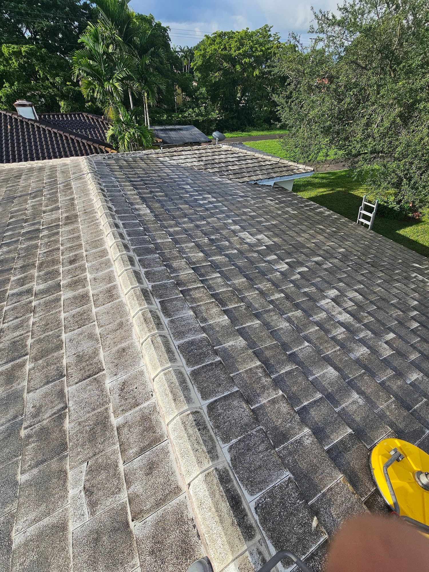 Overhead view of a weathered, gray asphalt shingle roof with moss, surrounded by green trees.