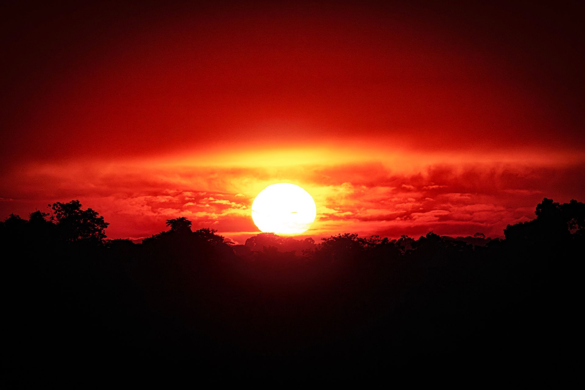 Sunset over the Amazon rain forest, Napo