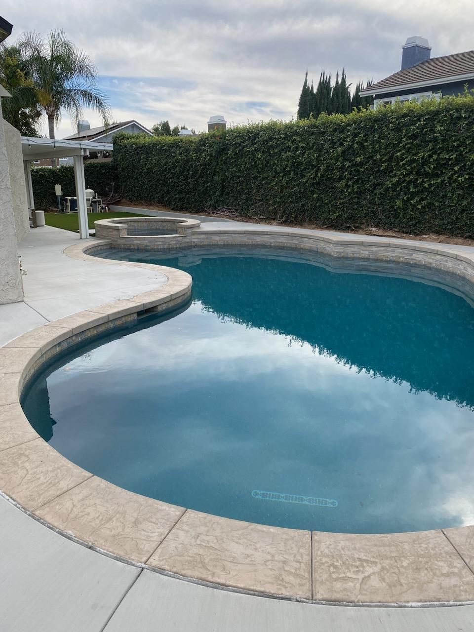 A large swimming pool is surrounded by a lush green hedge.