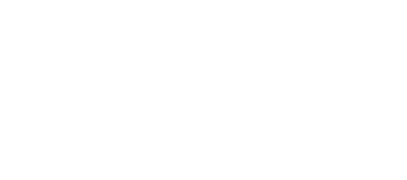 Pinzone Group logo