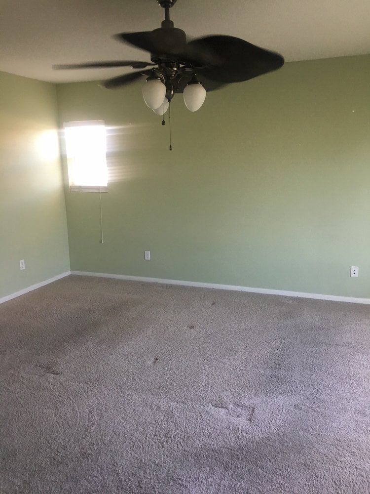 An empty room with pale green walls, beige carpeting, a window on the left, and a dark ceiling fan with glass lights.