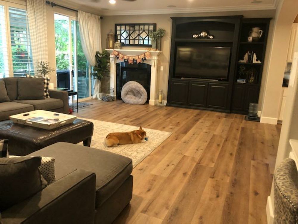 A living room with hardwood floors, a gray sectional sofa, a fireplace, and a built-in cabinet with a TV; a dog lies nearby.
