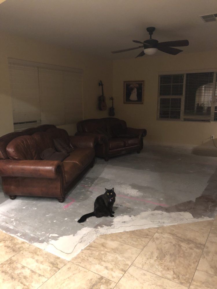A black cat sits on a patch of bare concrete floor in a room with two leather couches, a ceiling fan, and tiled flooring.