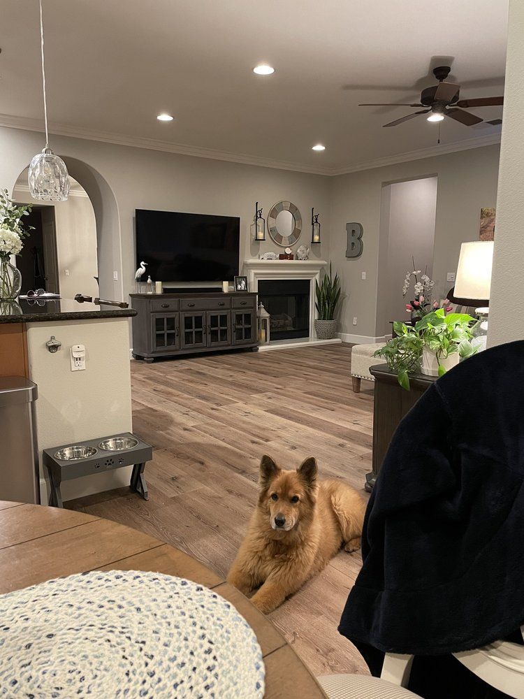 A fluffy golden-brown dog lies on a wooden floor in a modern living room with a fireplace, TV, and open-plan kitchen.