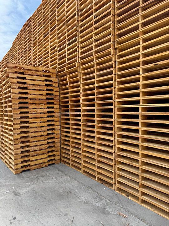 SP PALLETS