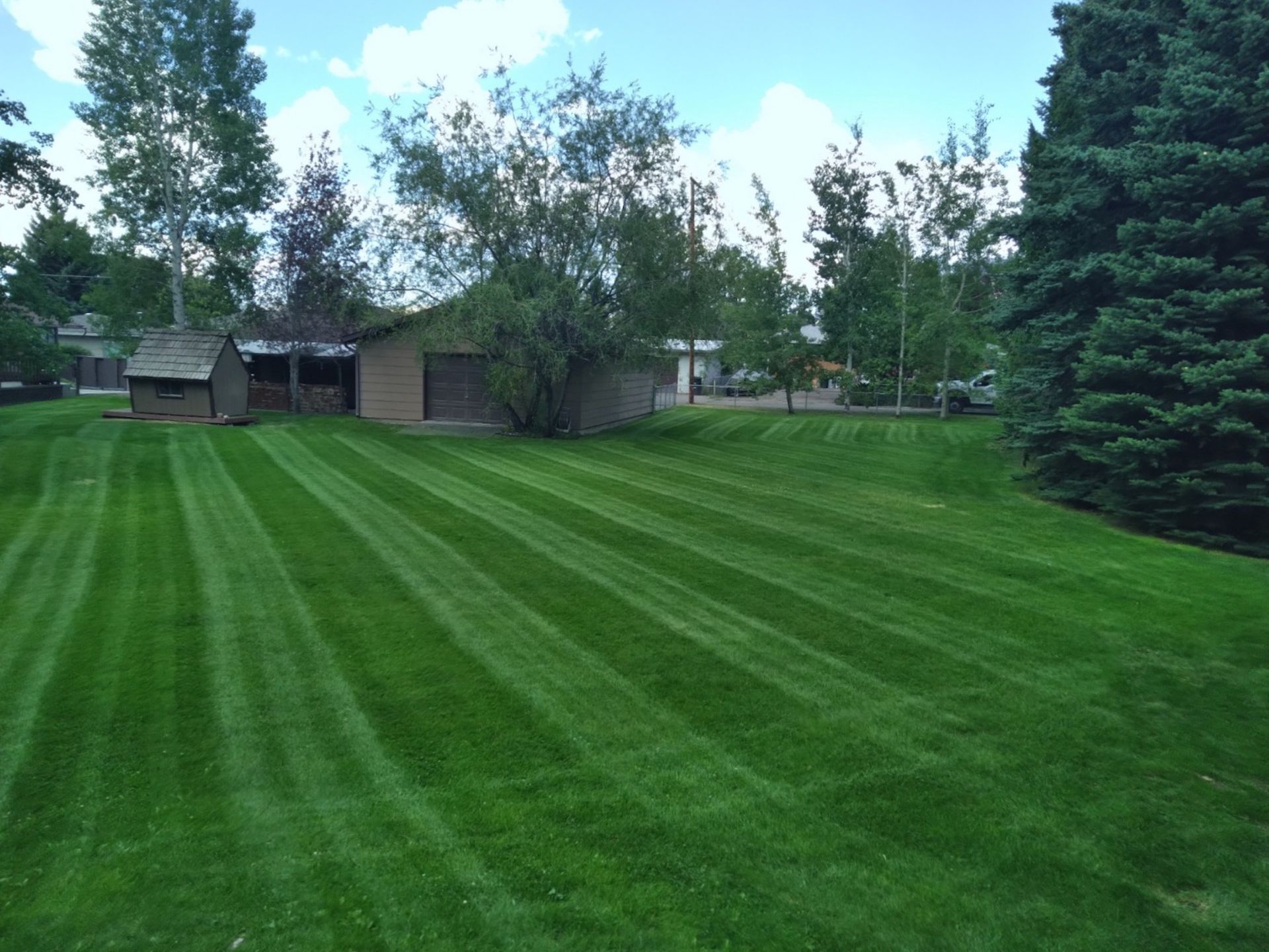 Freshly Mowed Lawn