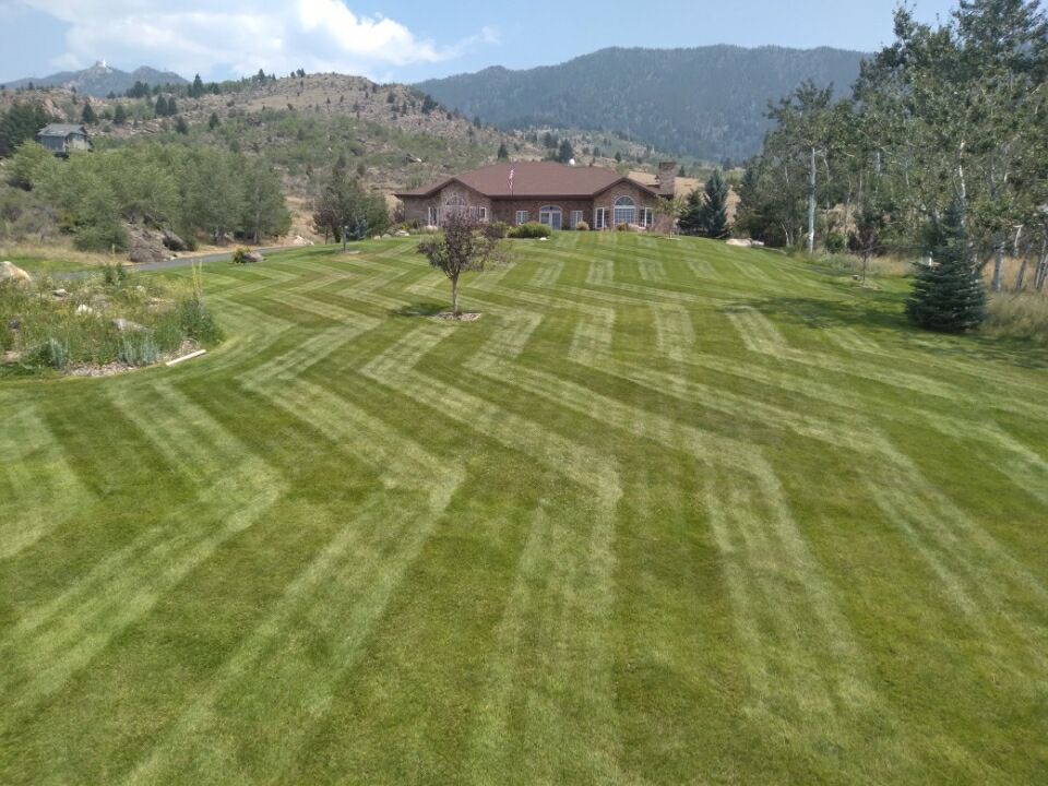 Freshly Mowed Lawn