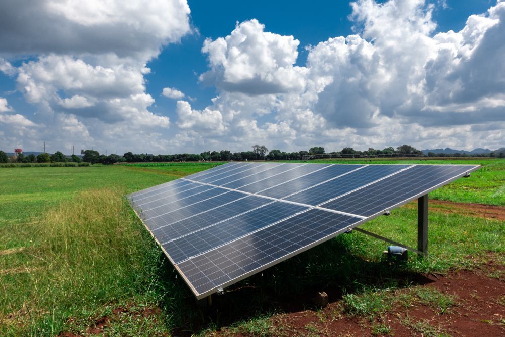 A Solar Panel Array Sits in a Grassy Field — Macleay Energy Solutions In Crescent Head, NSW