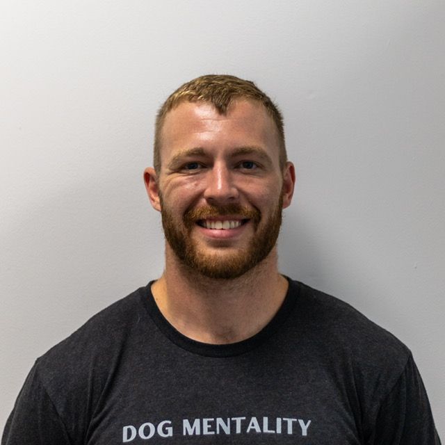 Man with beard smiling, wearing a gray
