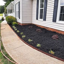 A sidewalk leading to a white house with black mulch and plants.