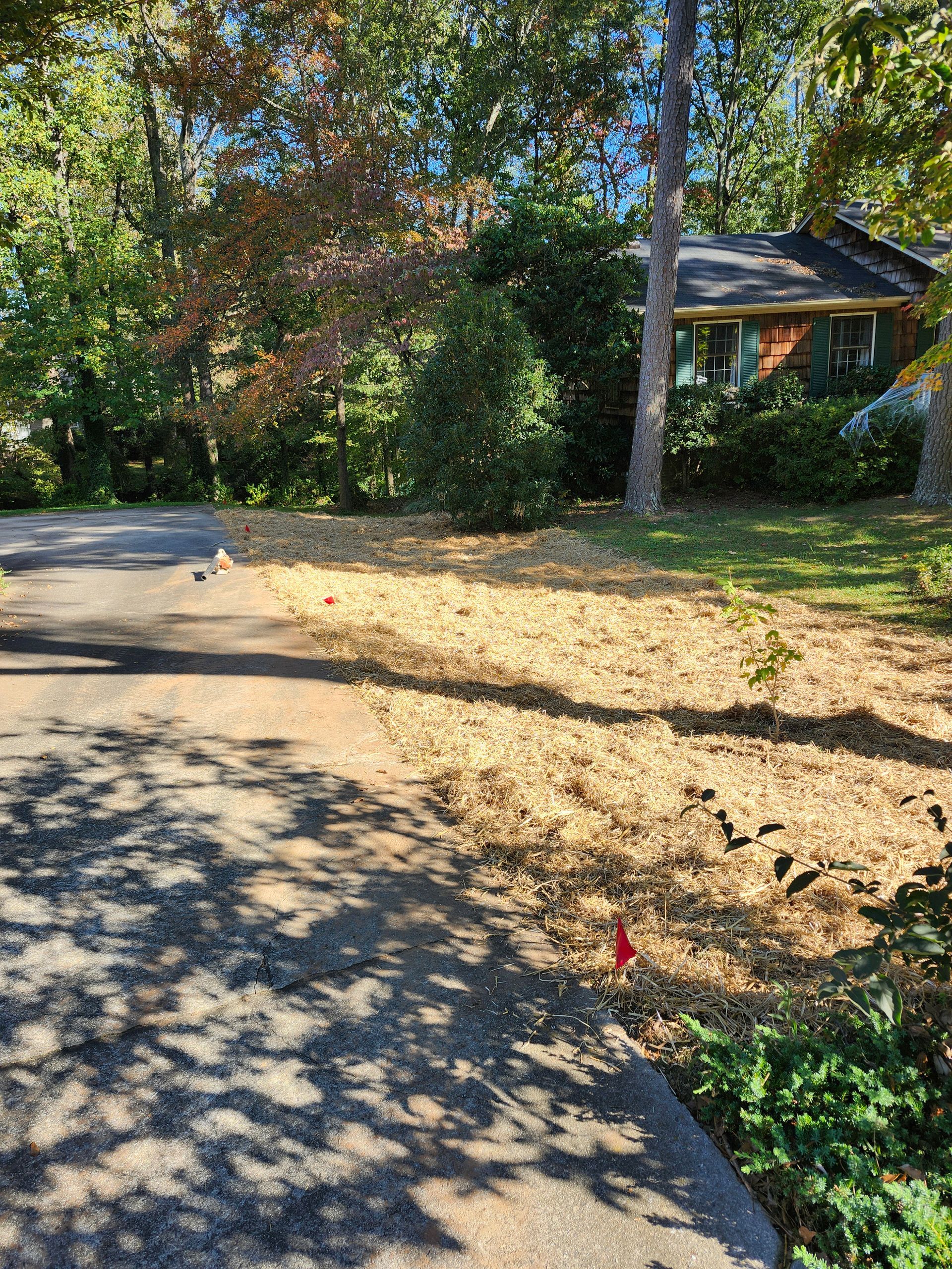 A driveway leading to a house surrounded by trees and grass.
