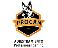 Logo de PROCAN CHILE