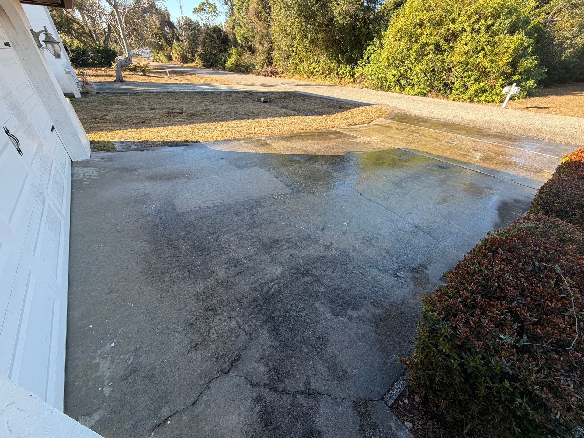 Wet driveway beside a white house, with shrubs and trees in the background.