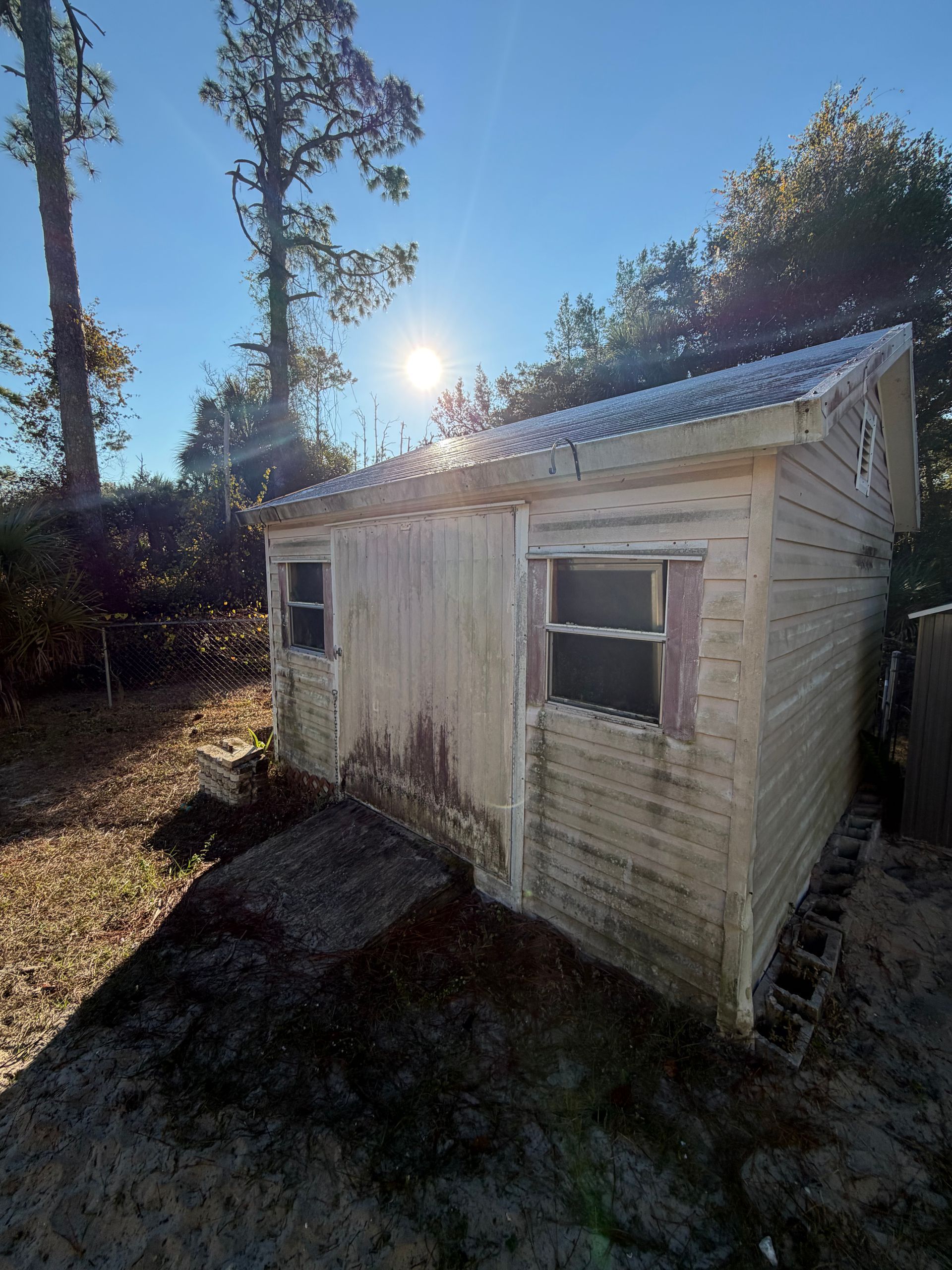 Weathered small white shed in a wooded area, lit by bright sunlight with a blue sky overhead.