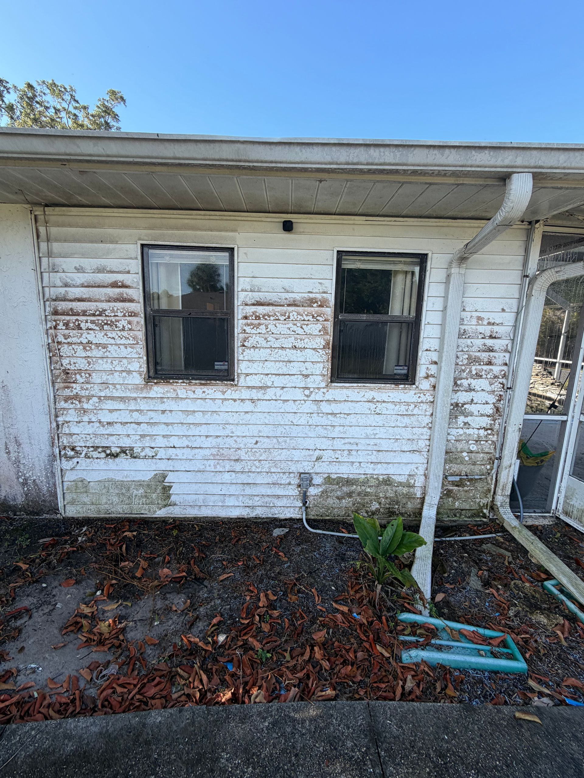 Weathered white house exterior with two windows, peeling paint, and a leaf-covered ground near a downspout