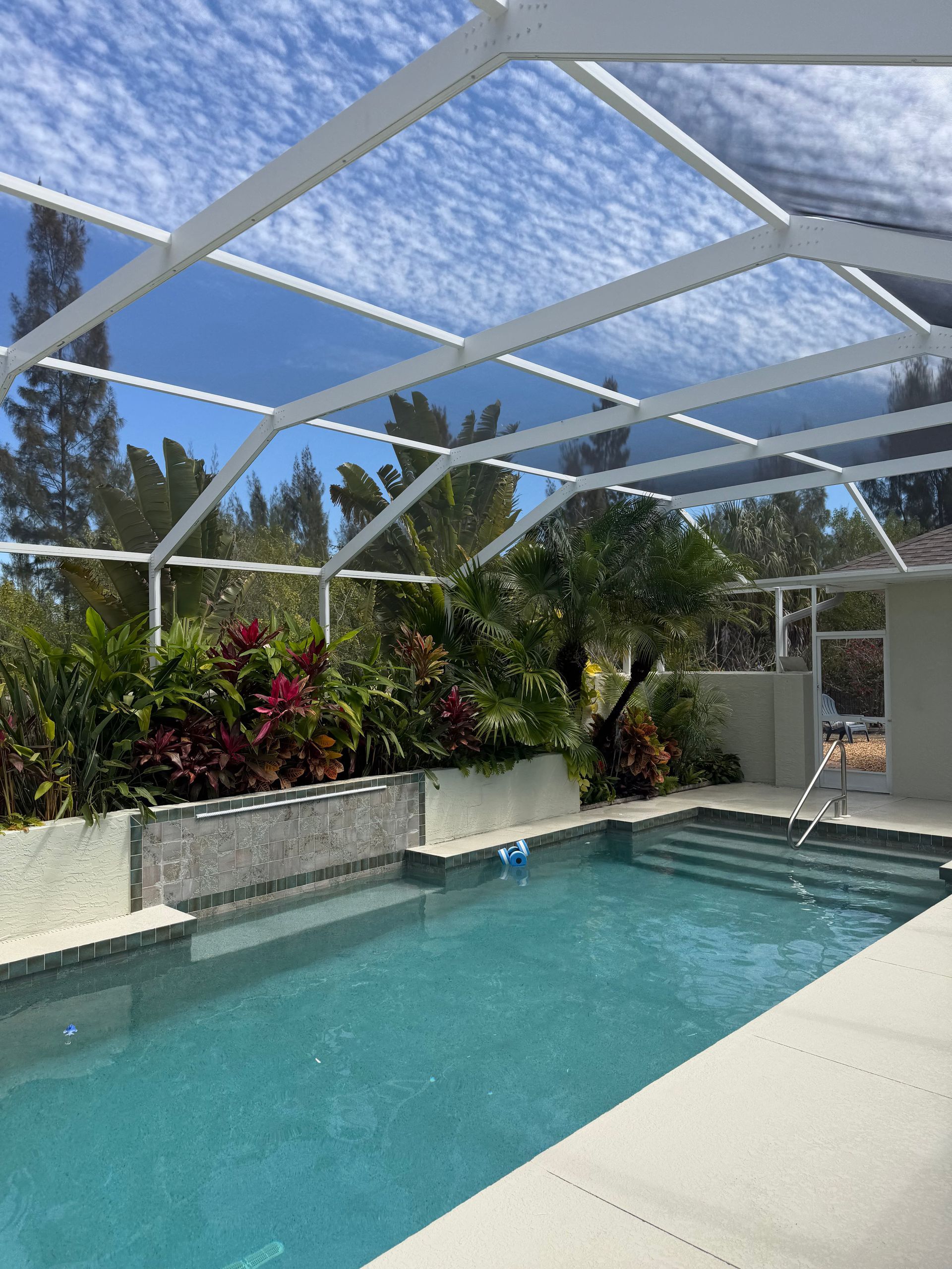 Backyard pool with white screened enclosure, tropical plants, and blue water under a sunny sky