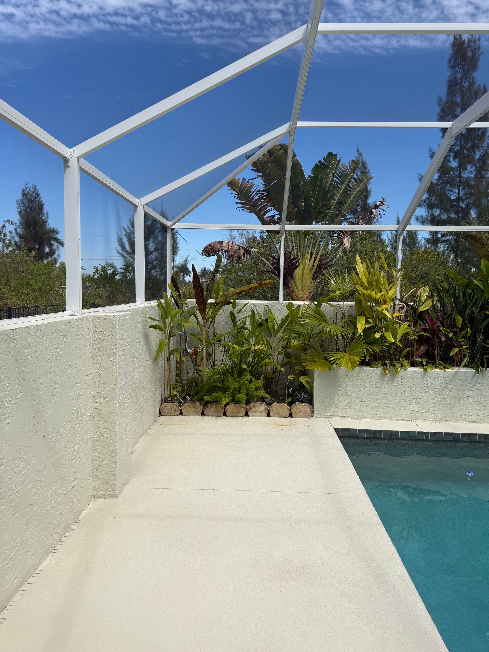 Backyard pool deck with white mesh screen, plants, and blue water under a clear sky