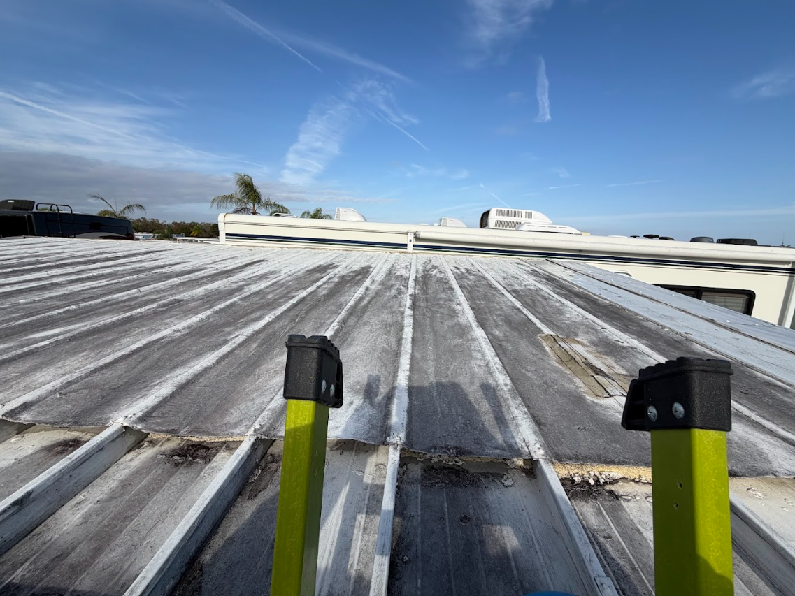 Driveway leading to a large light blue house with lush landscaping and trees.