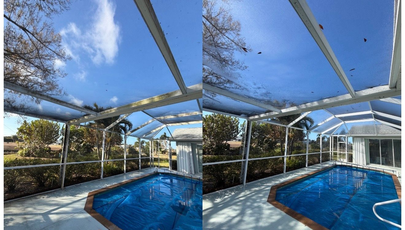 Pool enclosure with pool, trees, and bright blue sky.
