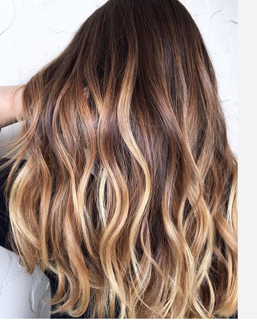 SOL ONE Bologna logo