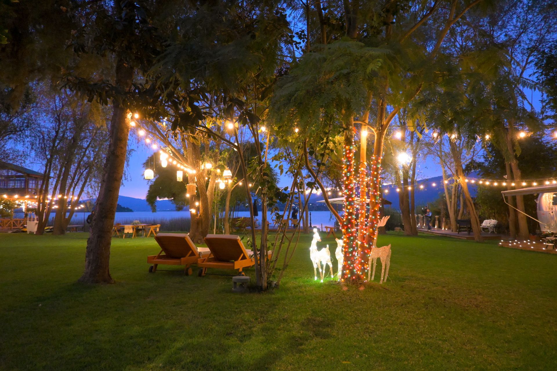 Un césped con sillas y árboles decorados con luces navideñas por la noche.