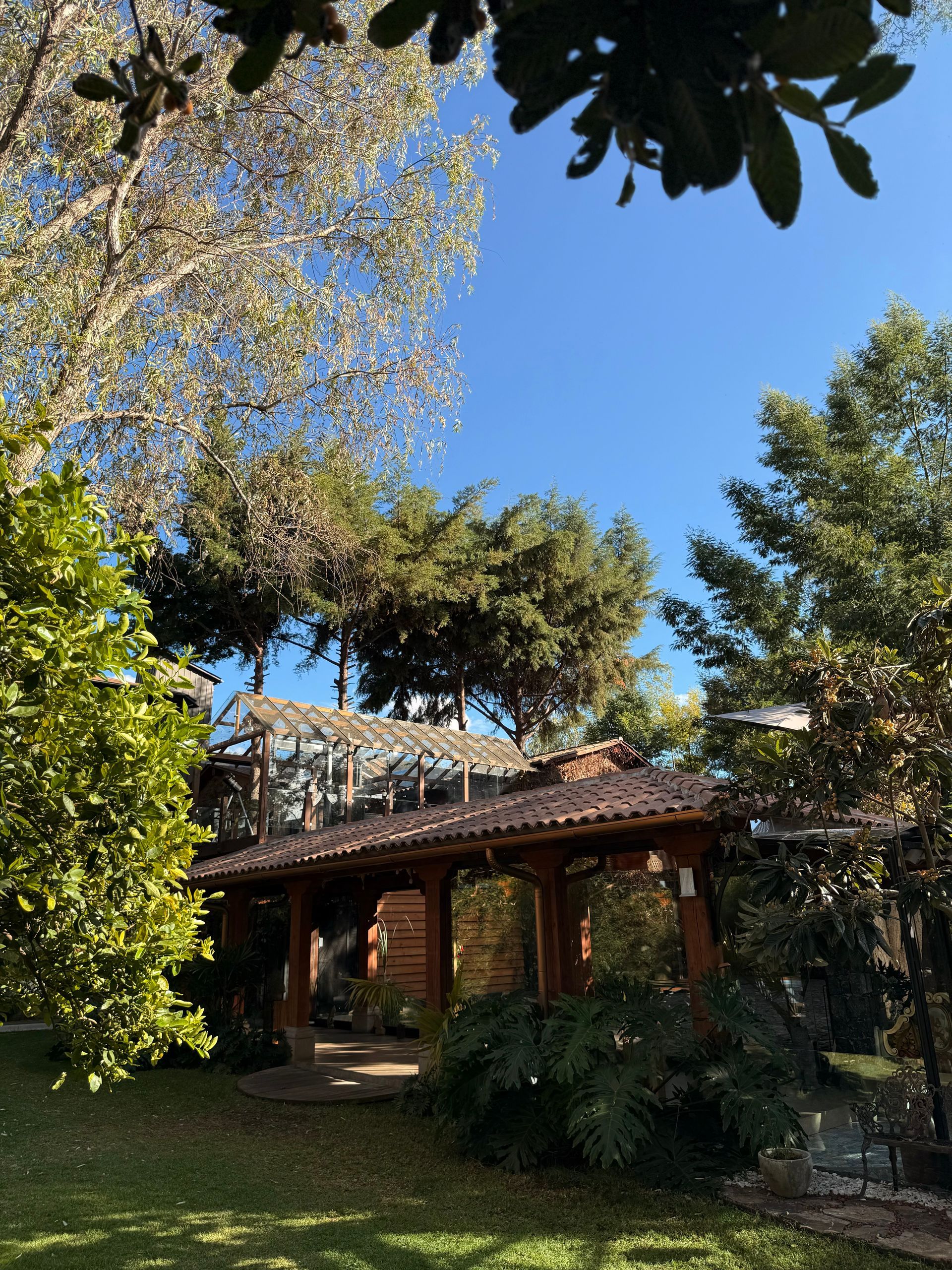 Una casa está rodeada de árboles en un día soleado.