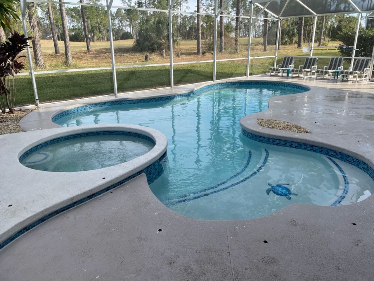 Pool with a spa, surrounded by a concrete patio and a screen enclosure, set outdoors with trees in the background.