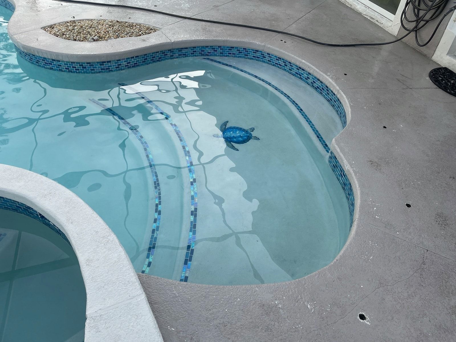 Swimming pool with blue tile trim and a mosaic turtle on the floor.