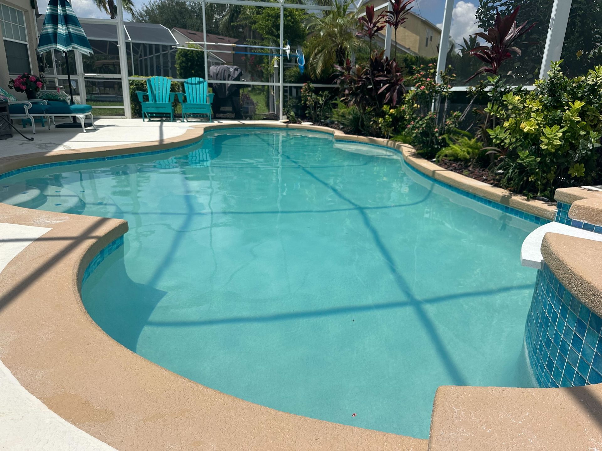 Swimming pool with blue water surrounded by beige decking, screen enclosure, and plants.