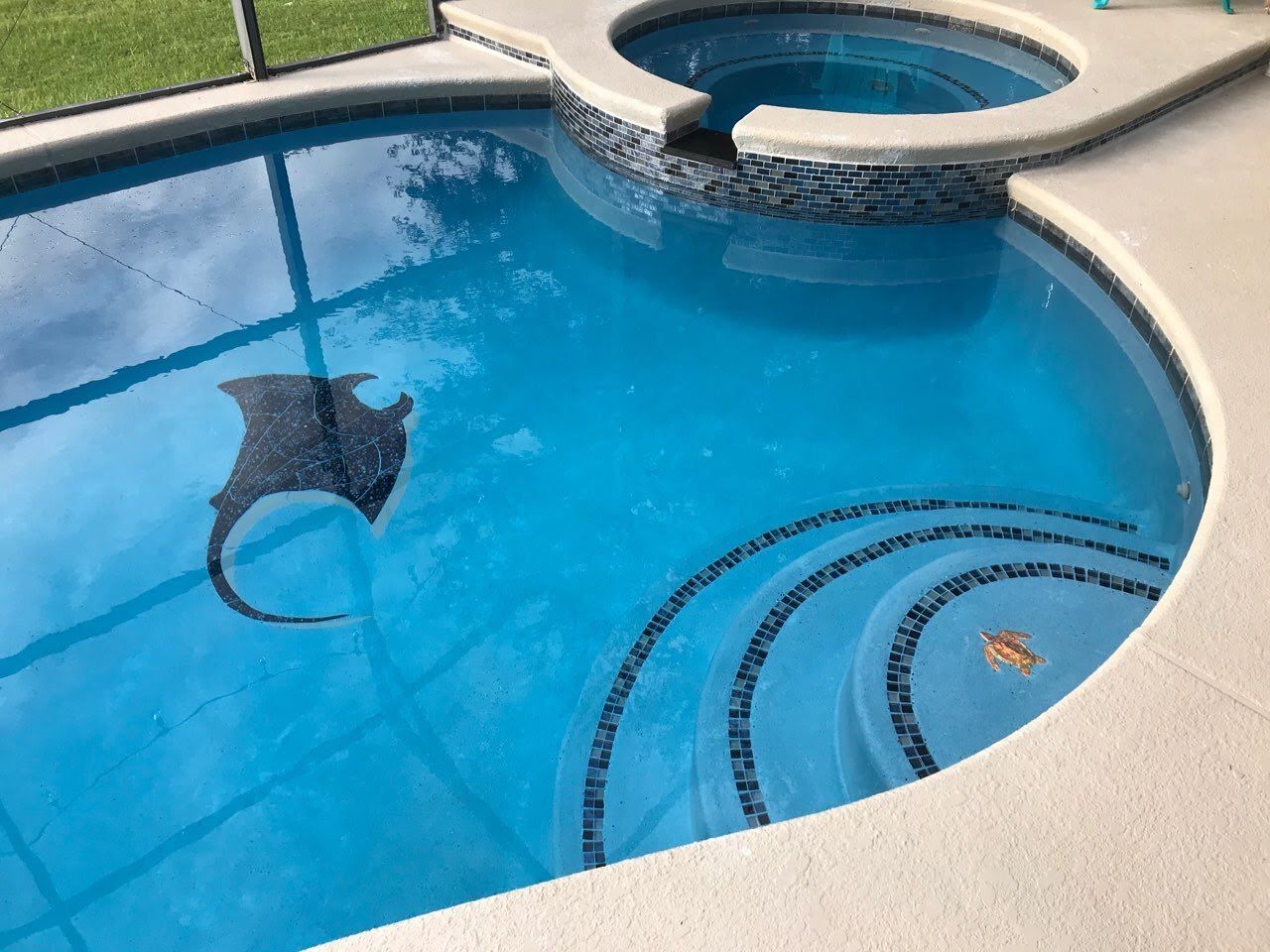 A stingray is swimming in the water of a swimming pool.