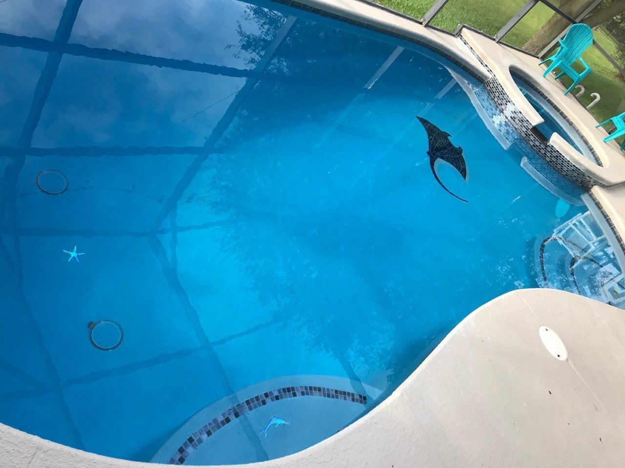 A swimming pool with a stingray in the water